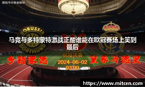 星空.综合体育官网