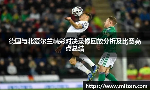 星空.综合体育官网